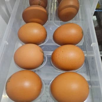 리뷰 이미지 1
