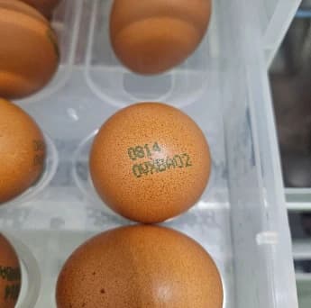 리뷰 이미지 2